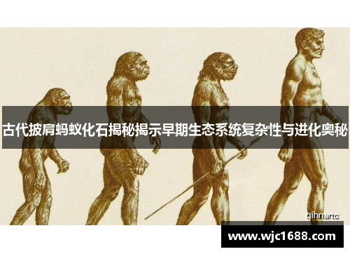 古代披肩蚂蚁化石揭秘揭示早期生态系统复杂性与进化奥秘